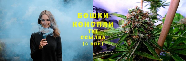 apvp Богородицк