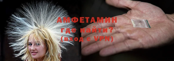 сатива Богданович