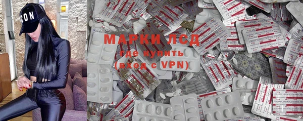 шишки Белокуриха