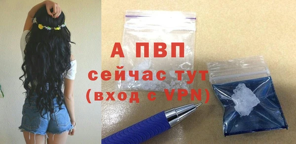 сатива Богданович