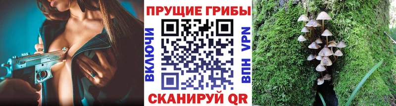магазин продажи   Кизляр  Псилоцибиновые грибы прущие грибы 